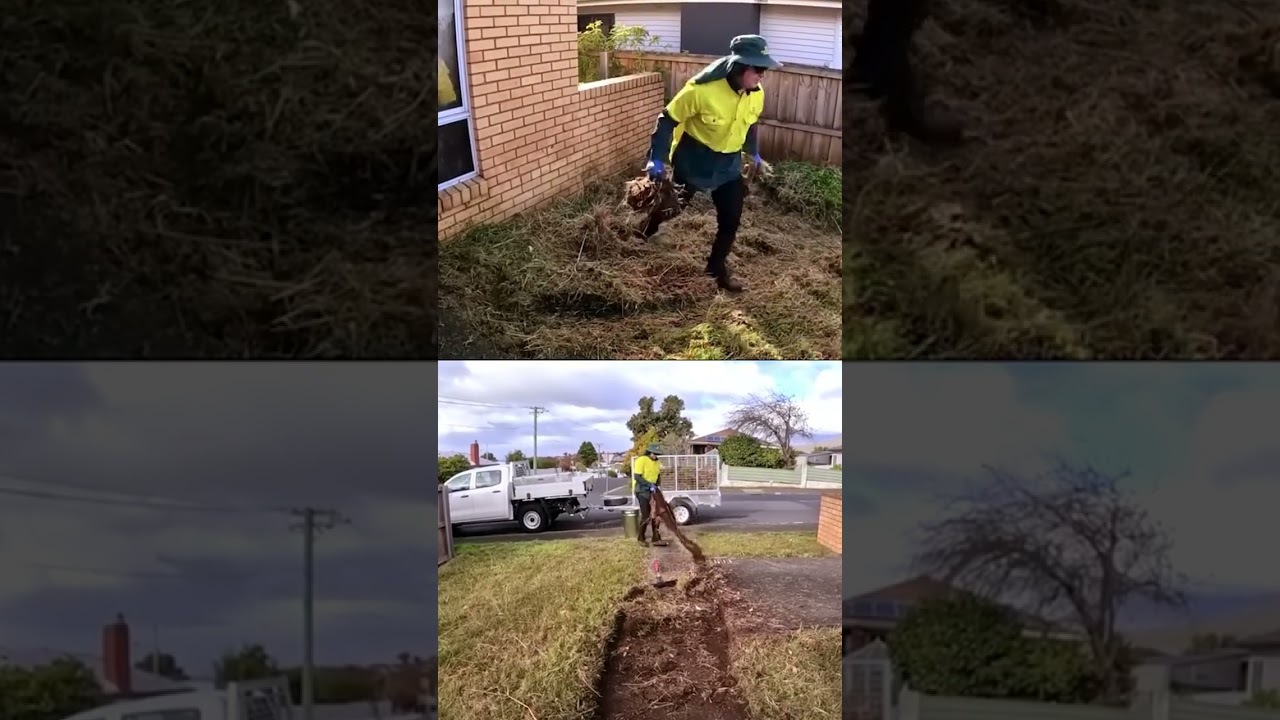 Unleash the potential of your yard with Jim’s Mowing yard cleanup