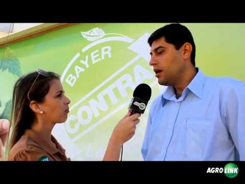 Bayer Bahia Farm Show - YouTube