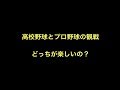 高校野球とプロ野球の観戦どっちが楽しいの？
