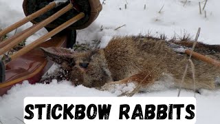 Stickbow Rabbits - Traditional Bowhunting Rabbits (Small Game Bowhunting)