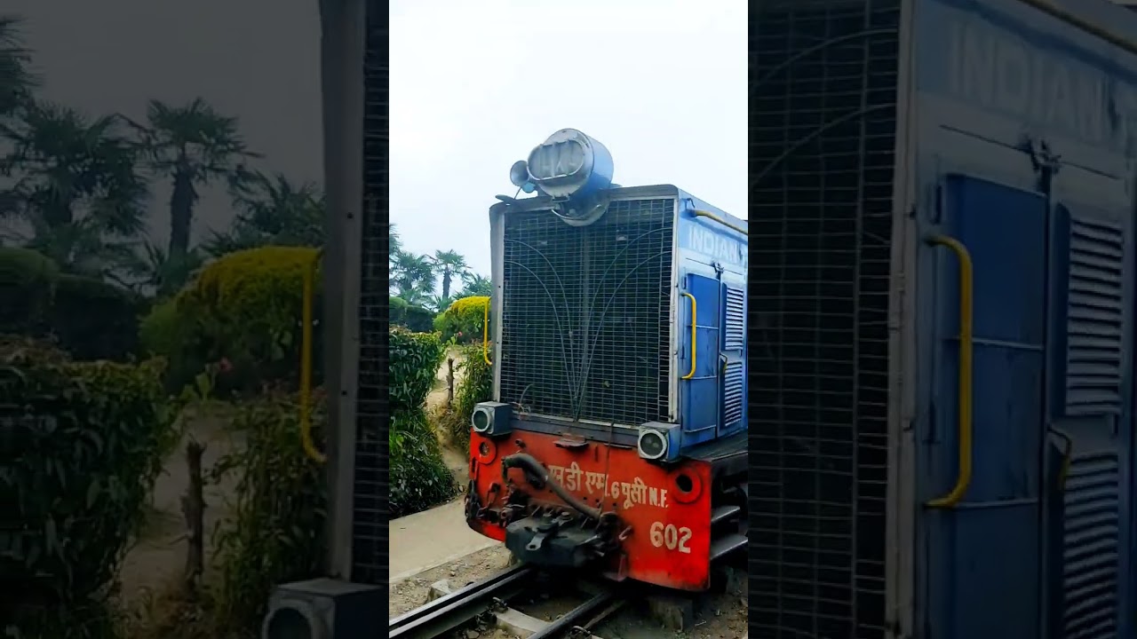 Darjeeling toy train|World Heritage|Amazing experience 😍