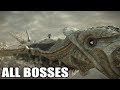 Shadow of the Colossus PS4  - All Bosses (With Cutscenes) HD