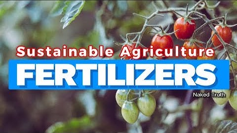 Fertilizers and Sustainable Agriculture: Finding the Right Balance