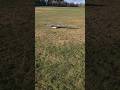 RC Storch 3D Druck