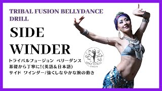 ★Tribal Fusion Bellydance★SIDE WINDER/強くしなやかな神秘的な腕の動きで美しく引き締まった腕へ！トライバル フュージョン  ベリーダンス サイドワインダー