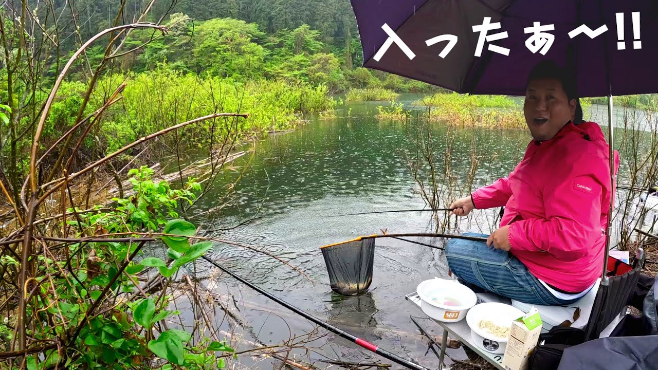 透き通った浅場でひたすら忍耐の末に…尺半！【茨城県城里町 藤井川ダム】