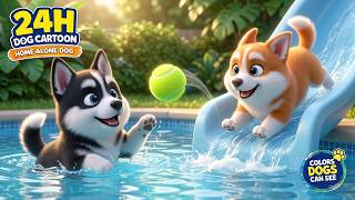 Cartoon for Dogs | Cozy Home Alone TV | Gentle Music for Dogs | Peace, Warmth & Quiet Joy screenshot 4