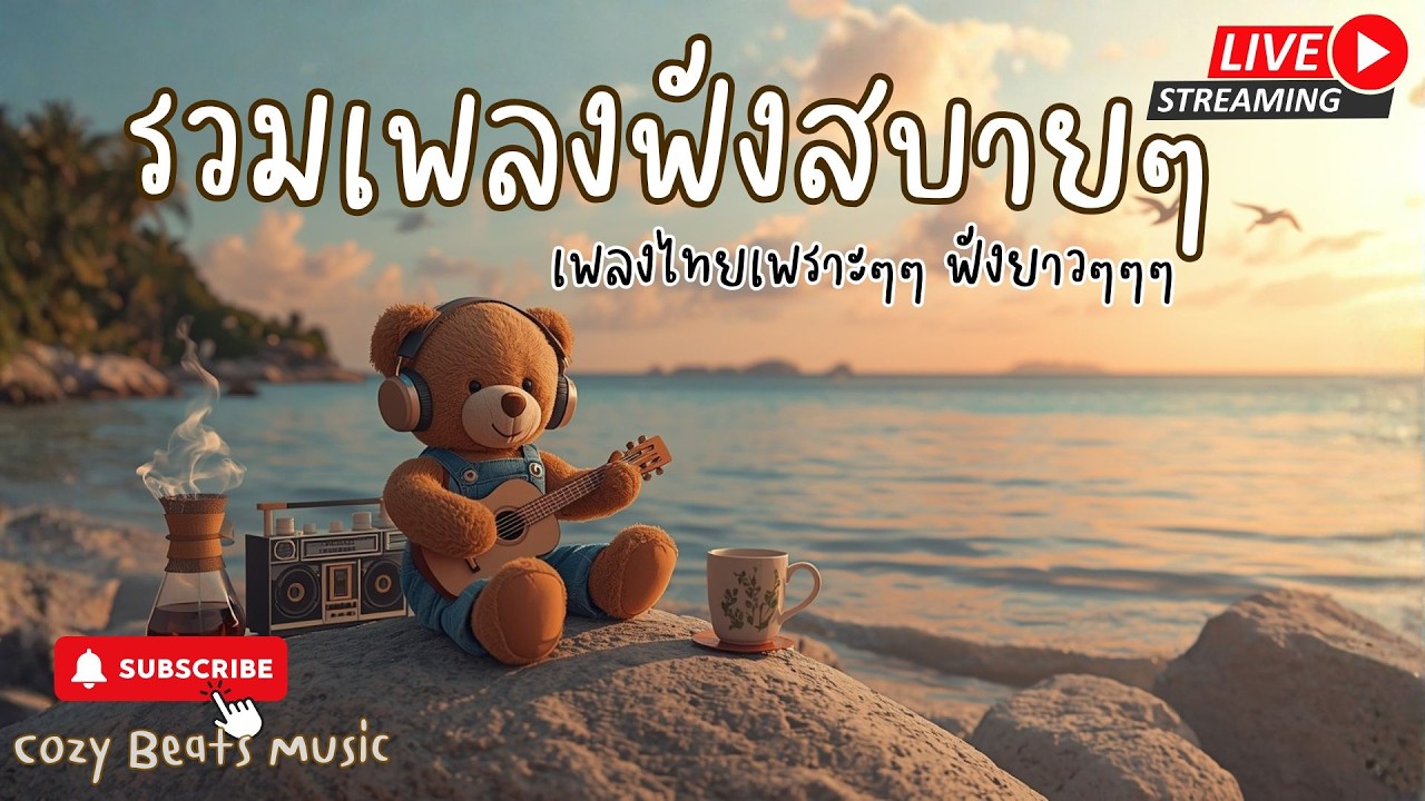 Live Cozy Beats Music 24-02-2026