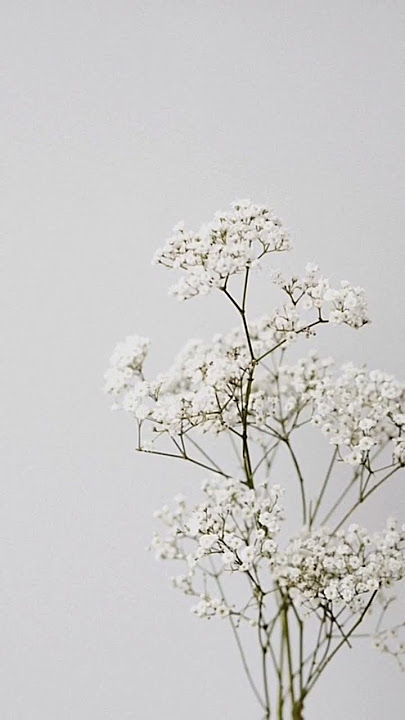 bagi2 wallpaper Aesthetic part 1