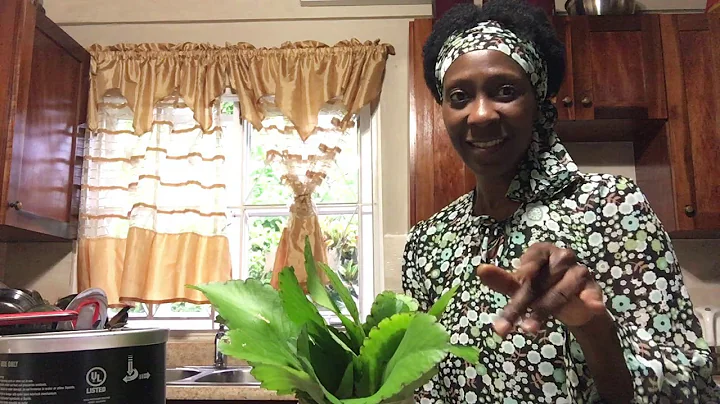 LEAF OF LIFE plant health benefits with Dr. Debs -  Oct 22, 2020 (www.debrawilliamsja.com)