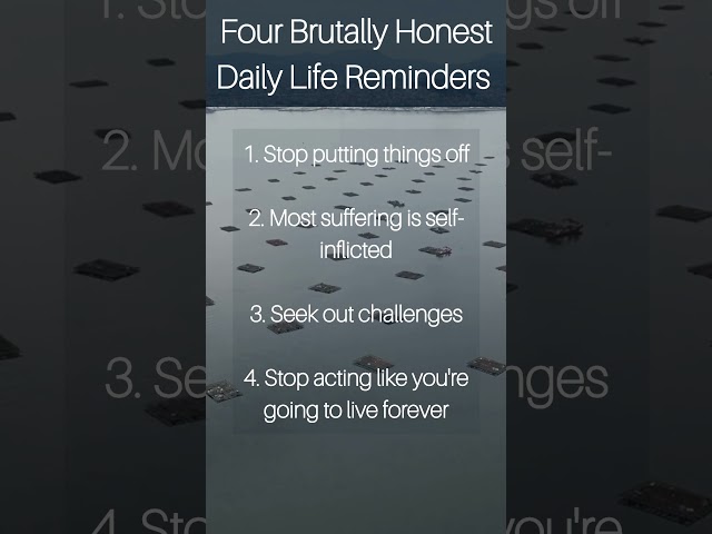4 Brutally Honest Daily Life Reminders class=