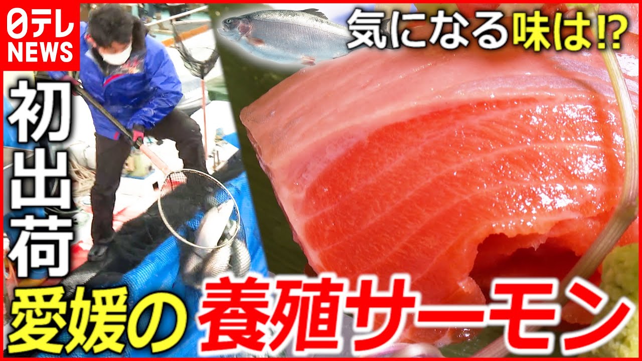 【密着】