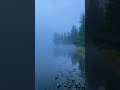 Foggy morning #путешествие #алтай #горы #вдохновение #озеро #природа #туман
