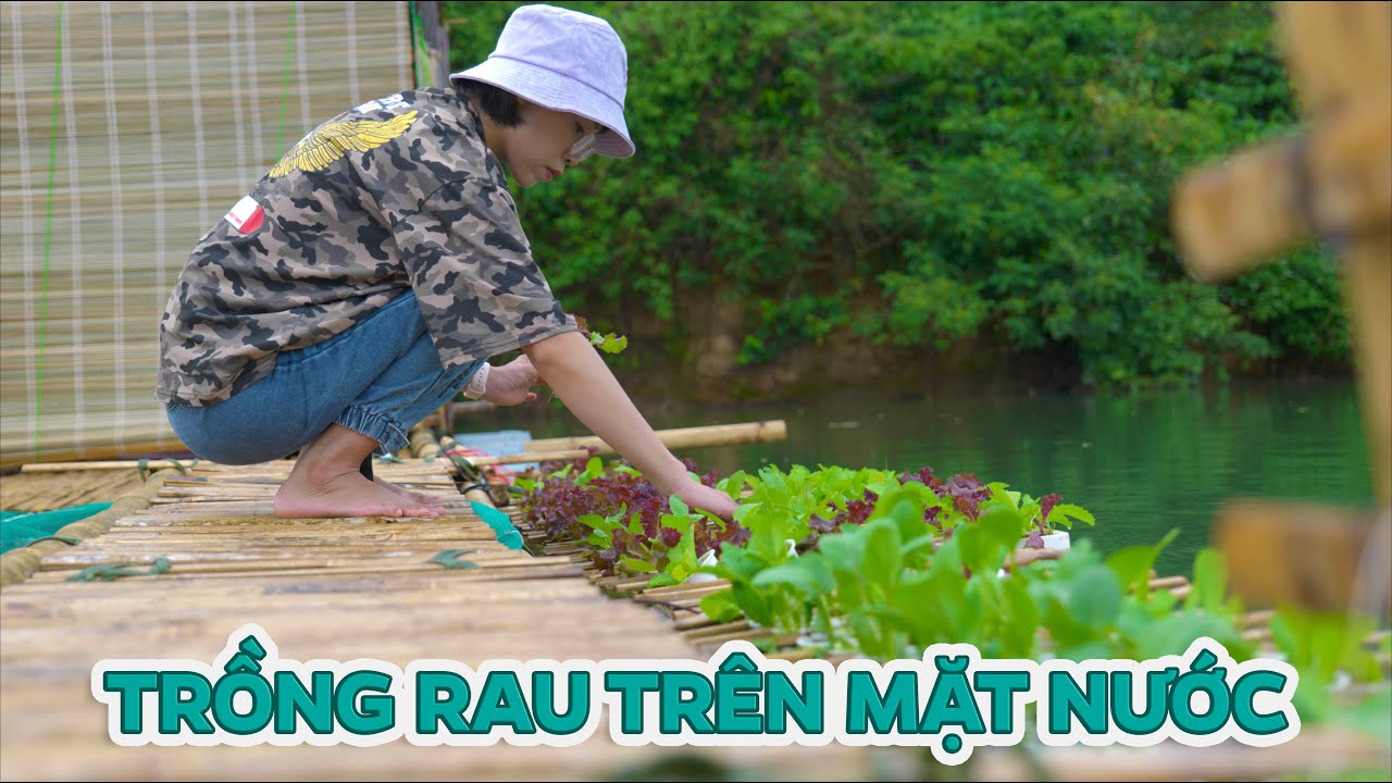 Trồng Rau Thuỷ Canh Trên Mặt Nước