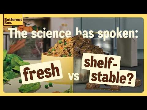 The Hidden Science of Dog Food What are AGEs