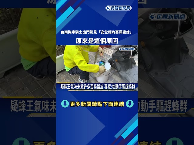 "安全帽內滿滿都是蜜蜂" 民眾要騎車出門驚見嚇壞－民視新聞