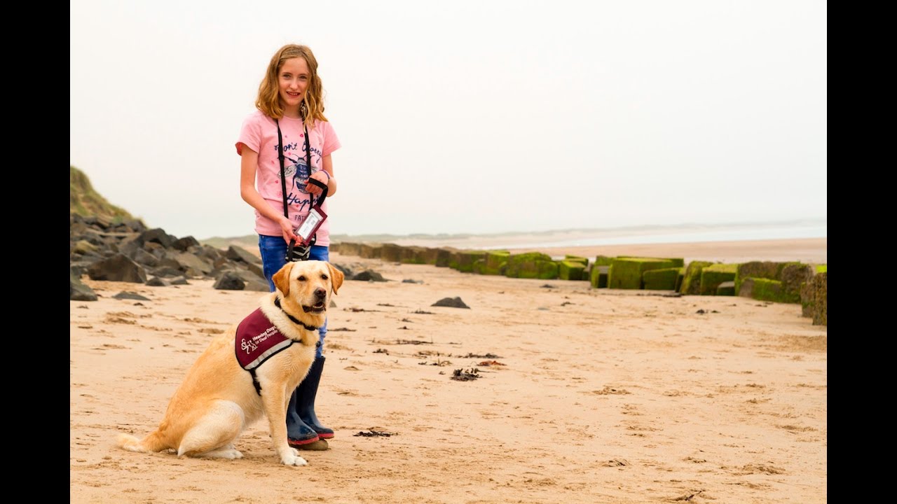 Kaitlyn Soden and her family talk about how hearing dog Rowan has transformed her life