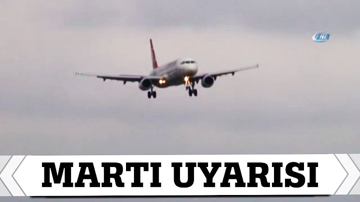 Motoruna Kuş Çarpan THY Uçağı Acil İniş Yaptı