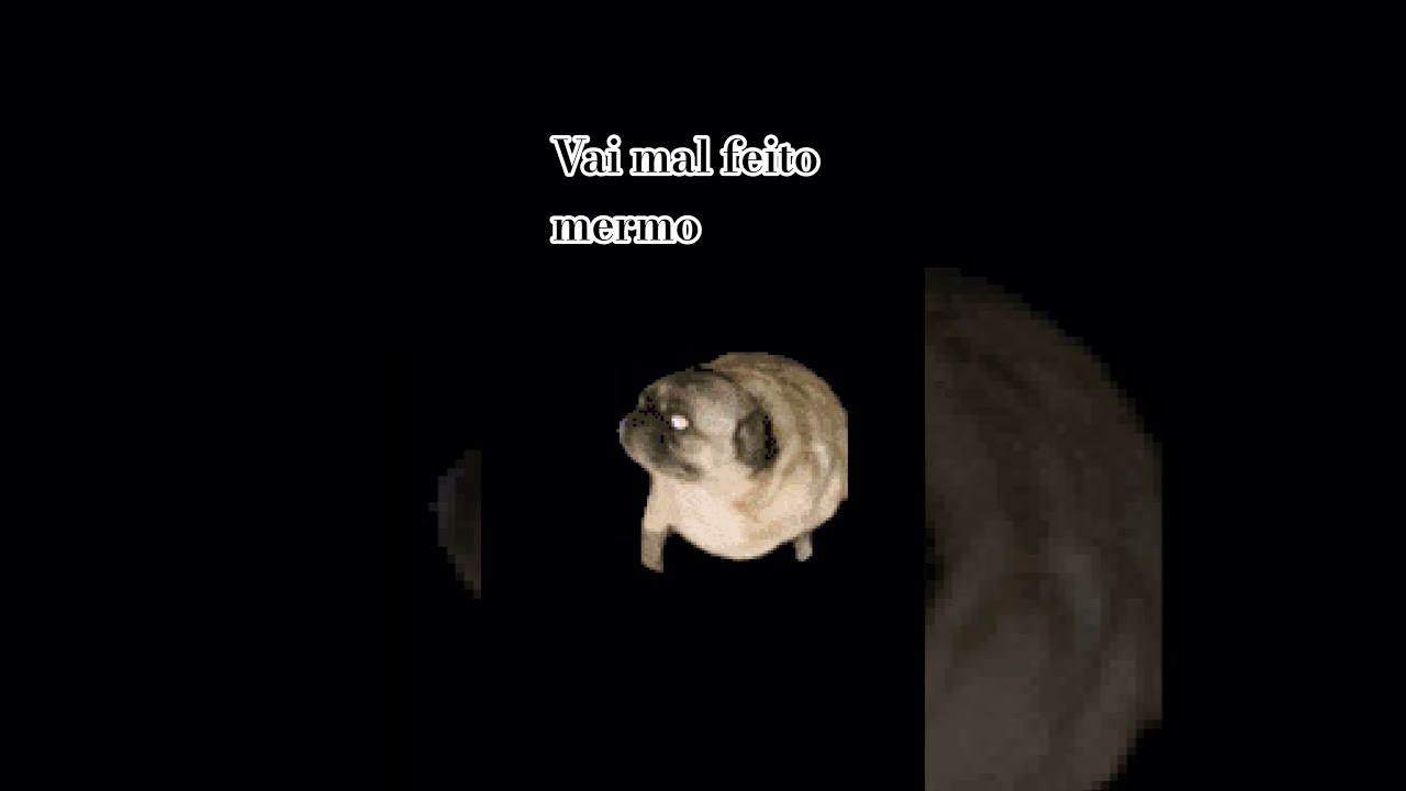 pug - YouTube