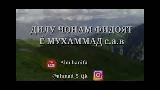 салавот бар мухаммад ( а,в,).