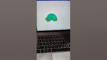Insert an Adorable 🐢 Turtle Symbol in Seconds!#msword #tips #symbol #turtle #nature