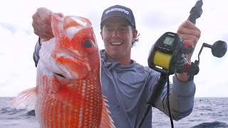 Shimano Plays 3000 Review with Ned McHenry | Shimano's New