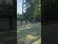 Townhome Community with off leash dog park. #myrtlebeach #petsofyoutube #dog #rent