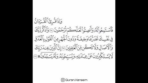 القارئ ماهر المعيقلي - سورة الأعراف - من الآية 204 إلى الآية 206