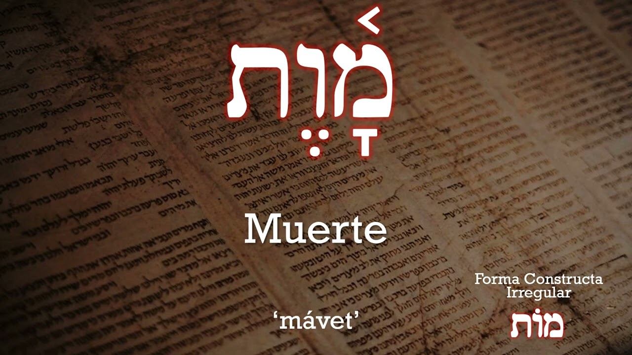 Vocabulario Hebreo 10