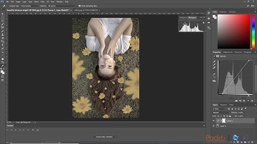 Advanced Photoshop: Tips, Tricks and Techniques :Discover Dynamic Range & Film Curves|packtpub.com