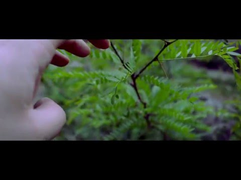 ჩვენ ვახმოვანებთ სამყაროს