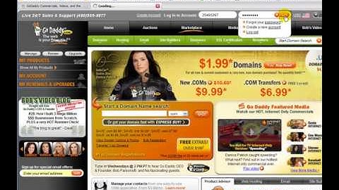 Forward and Mask a Domain Name