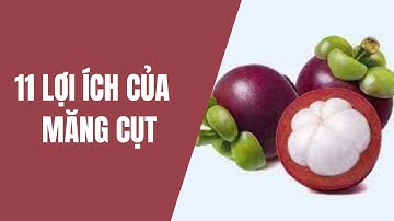 11 lợi ích của măng cụt - Thực phẩm và sức khỏe