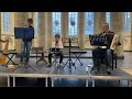 Capture de la vidéo "Jichav Kozak Za Dunaj" Luka Lysenko & Ilya Lysenko & Oleg Lysenko. Bergkerk, Deveneter. 21 Jan.2023