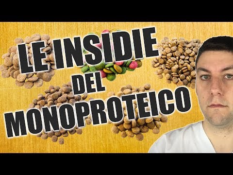 Video: Perché le allergie stanno diventando più comuni nei cani?