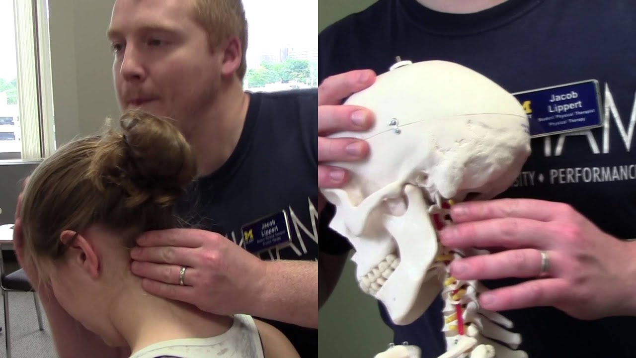 camera iphone 8 plus apk Sharp-Purser Test