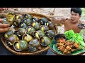 Cooking Snail eating with Hot Spicy Sauce recipe So Yummy - Cook Crunchy Snail Chewing Mouth