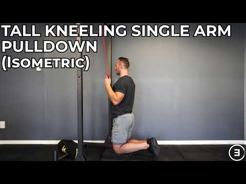 Tall Kneeling Single Arm Pulldown (Isometric)