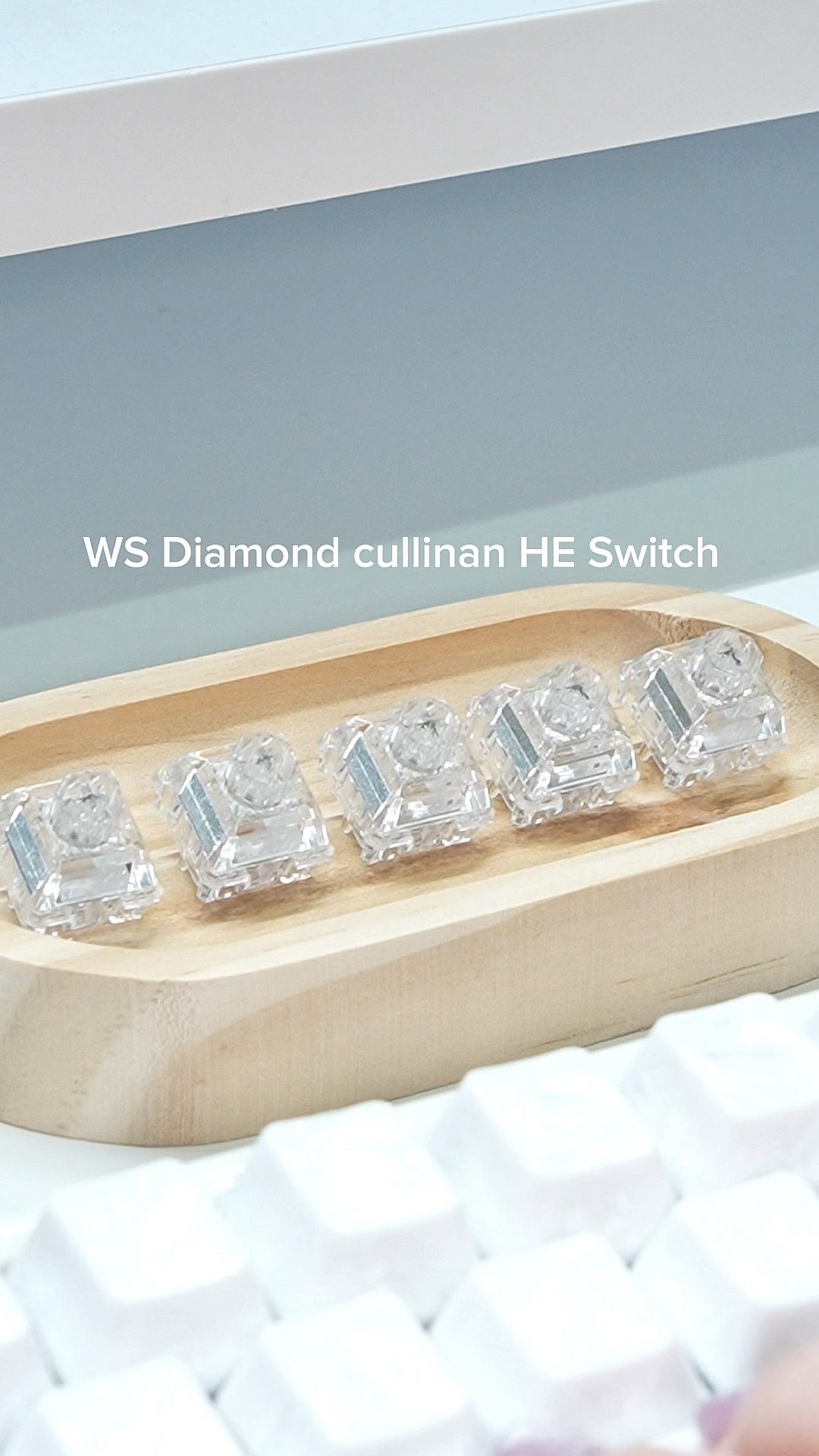 HYPE SHOP】WuqueStudio WS Diamond Cullinan HE Switches【磁気式