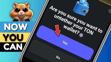 Hurray! Finally you can now Disconnect and Reconnect your Ton wallet in Hamster Kombat