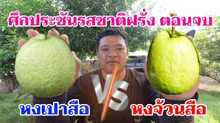 บทสรุป สายพันธุ์ฝรั่งไส้แดง พันธุ์ไหนอร่อยที่สุด ศึกประชันรสชาติฝรั่งไส้แดง ตอนจบ | พี่ต้อม