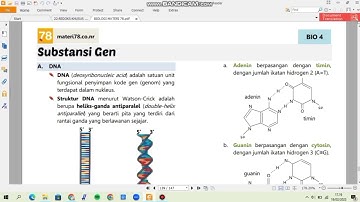 ♡˖꒰⑅ how to Print notes on B5 Paper/loose leaf paper 📜 ⑅꒱