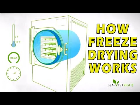 How Freeze Drying Works