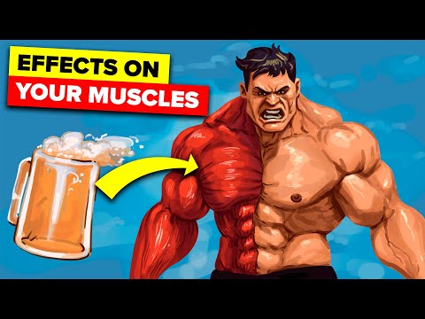 The Workout Show