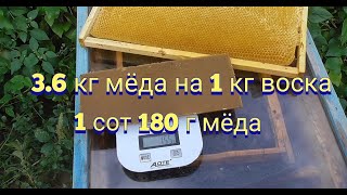 Сколько воска в одном соте,  сколько пчелы затрачивают кормов на отстройку новых сот.