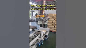 Palletizing robot #palletizer #robot #palletizing #industrial robot #manufacturing #factory