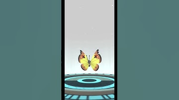 Evolving A Scatterbug Into Yellow Vivillon | #pokémongo #trending #evolution #vivillon #3stars