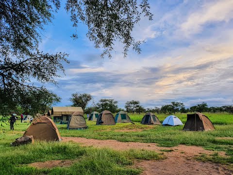 Camping in Serengeti National Park