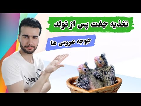 تصویری: چگونه و چه چیزی باید کودک را در طول روزه بزرگ تغذیه کنیم