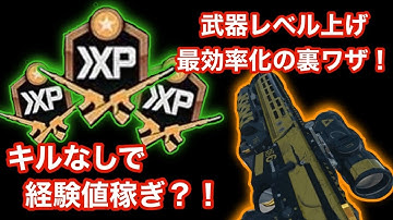 【COD:MW2】最効率!!武器レベル上げ！キルなしでも武器経験値を稼ぐ方法!!